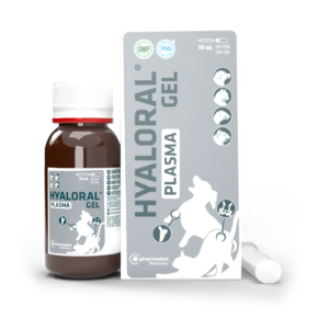 Hyaloral® Plasma Gel