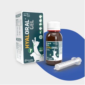 Hyaloral® Gel