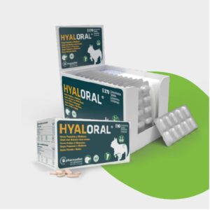 Hyaloral® Razas pequeñas y medianas